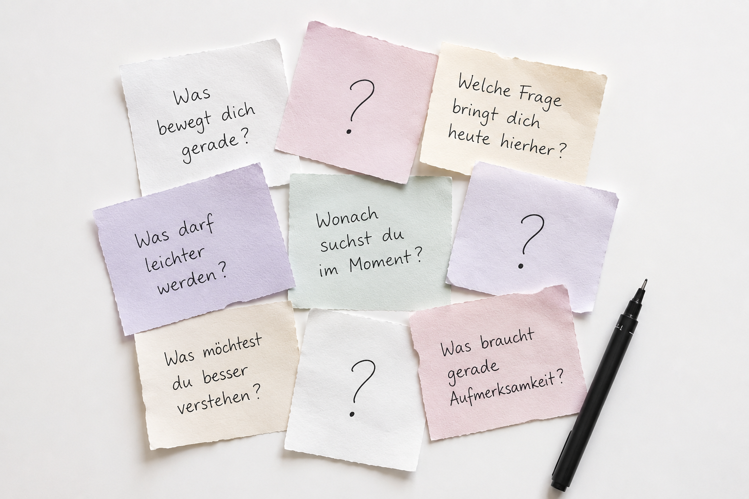 Erstgespräch mit Coco
